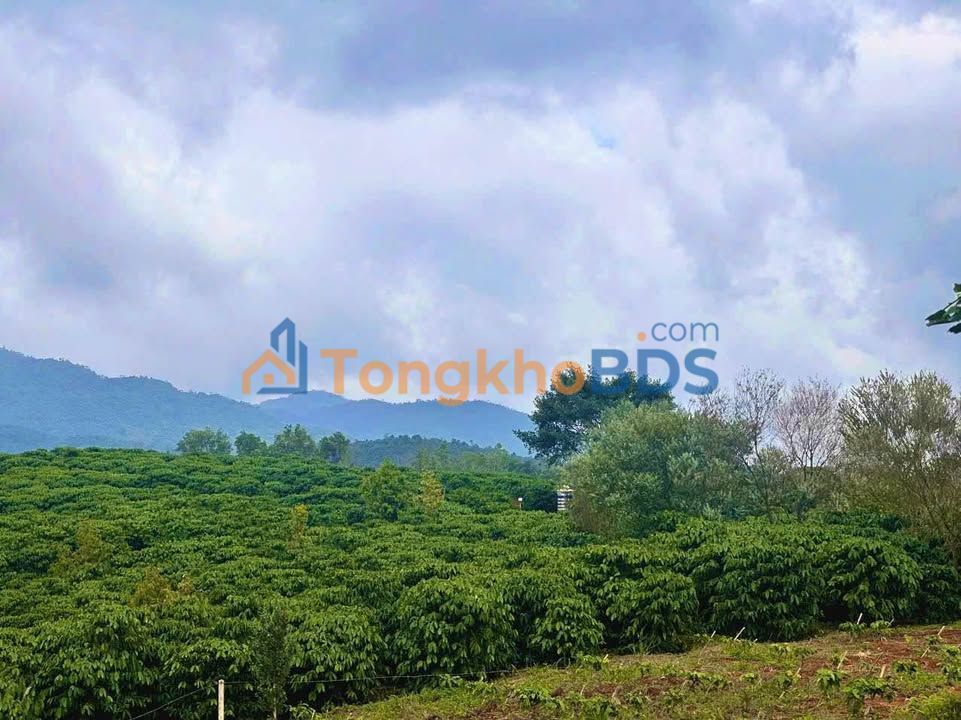 Đất vườn Lộc Quảng 3.240m² 600 triệu - Sổ đỏ chính chủ