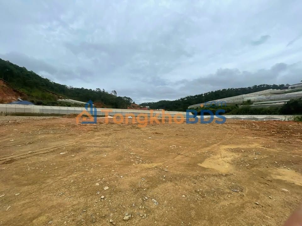 Đất nền Lạc Dương 914m² giá 2 tỷ - Tiềm năng tăng giá