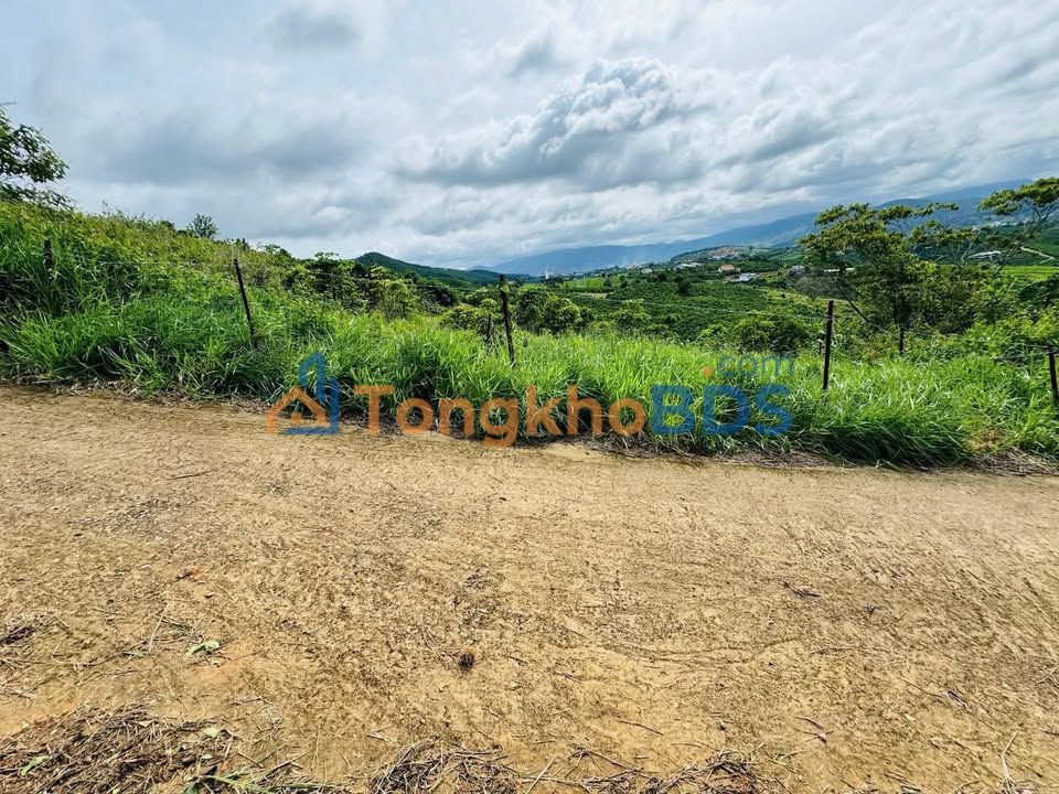 Đất nền Nam Hà Phúc Thọ 657m² 650 triệu - Sổ đỏ chính chủ