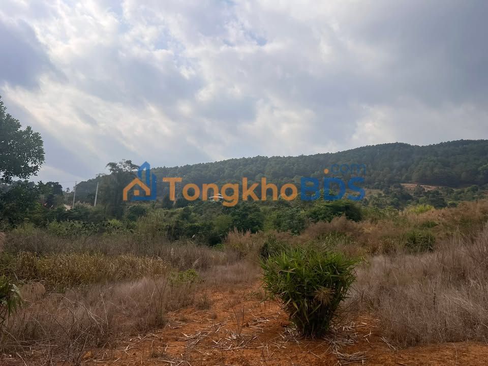 Đất nền Nam Ban Lâm Hà 230m² 540 triệu - Sổ đỏ chính chủ