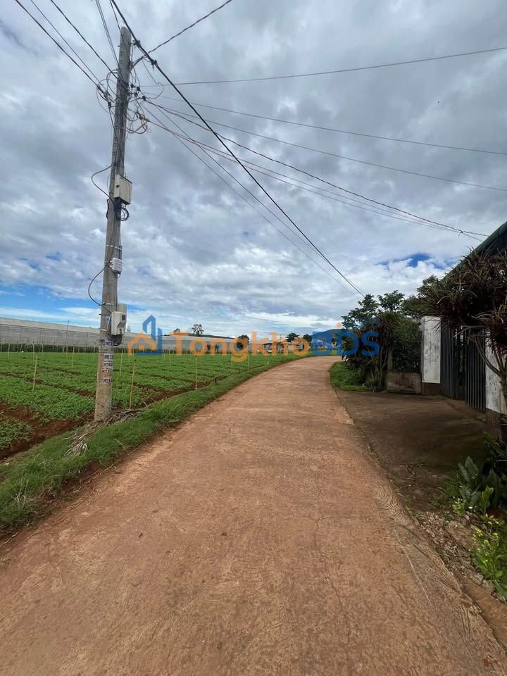 Đất nền Đạ Ròn 168m² 860 triệu - Tiềm năng tăng giá