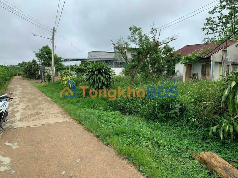 Đất nền Bảo Lộc 1.296m² 2.6 tỷ - Sổ đỏ chính chủ