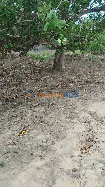 Đất vườn Phú Ngọc Định Quán 2160m² 1.8 tỷ - Sinh thái xanh