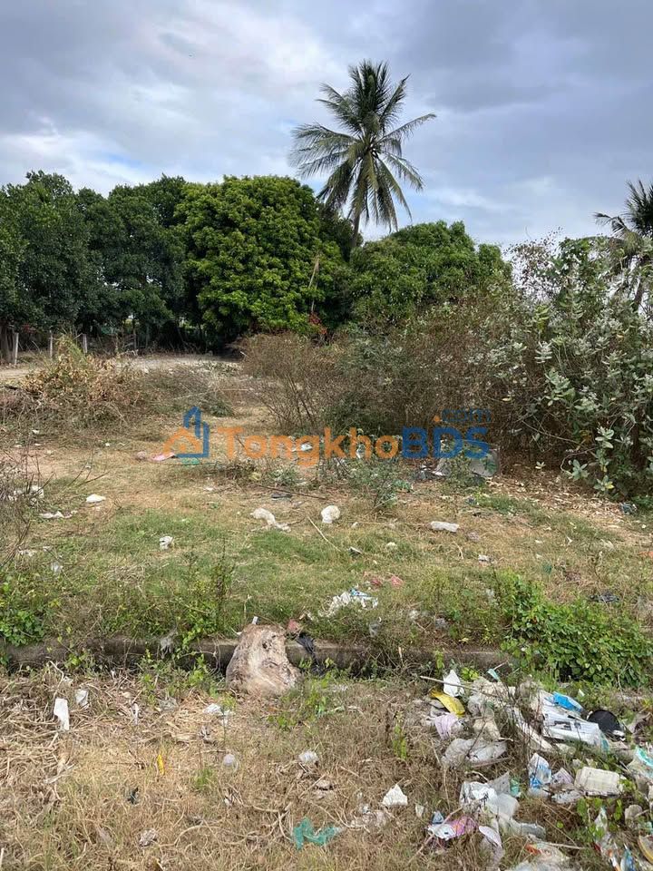 Đất thổ cư Liên Hương 127m² 550 triệu - Hạ tầng hoàn thiện