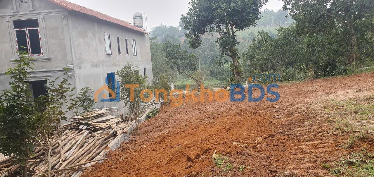 Đất nghỉ dưỡng Khánh Thượng Ba Vì 802m² 2 tỷ - Tiềm năng tăng giá