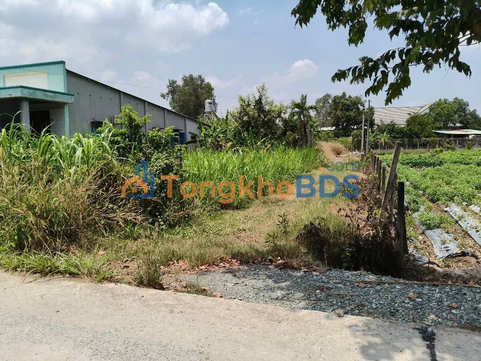 Đất nền Củ Chi Phước Thạnh 550m², 5,5 tỷ - Sổ đỏ chính chủ