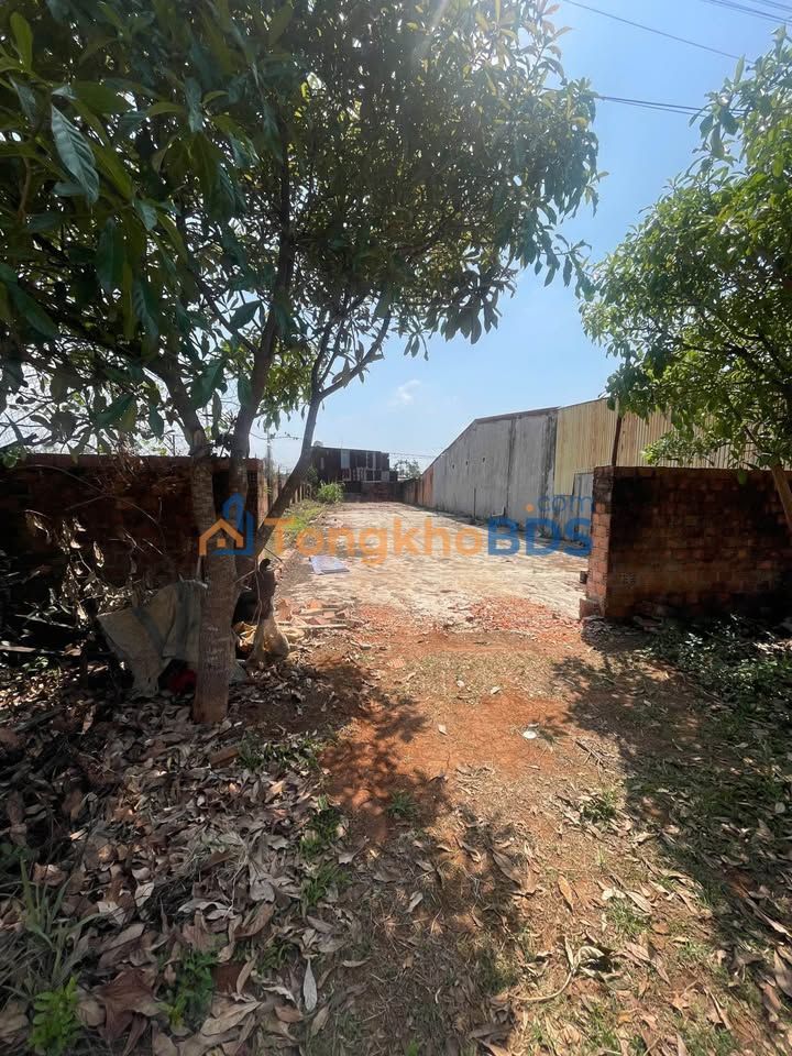 Nha rieng Quy Nhon Pham Ngoc Thach 420m2 - Chinh chu ban