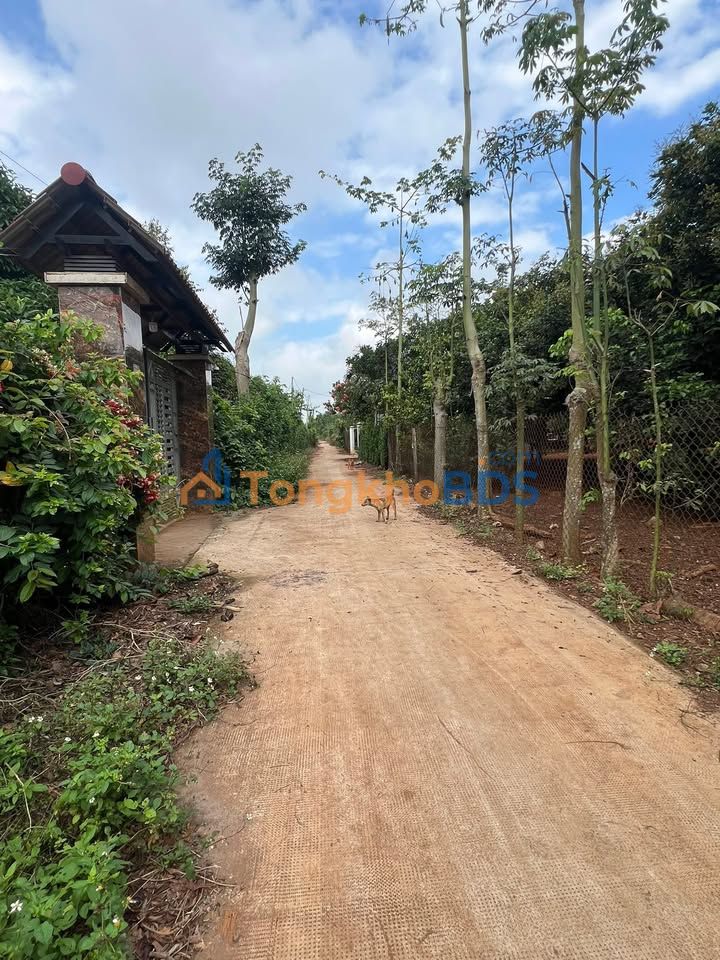 Đất nền Xuân Tây Cẩm Mỹ 360m² 870 triệu - Sổ đỏ chính chủ