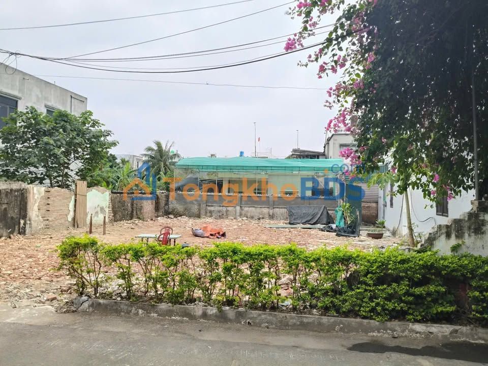 Đất nền Thị trấn Tiền Hải 168m² 1 tỷ - Đường to ô tô