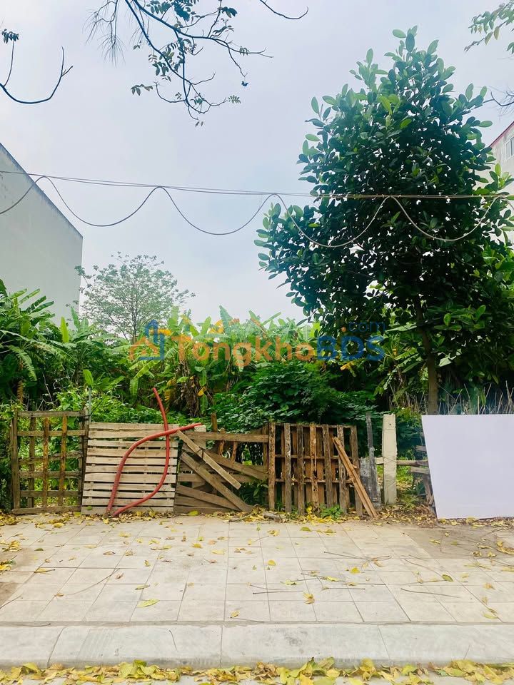 Đất nền Vĩnh Yên 100-108m² 3-4 tỷ - Sổ đỏ chính chủ