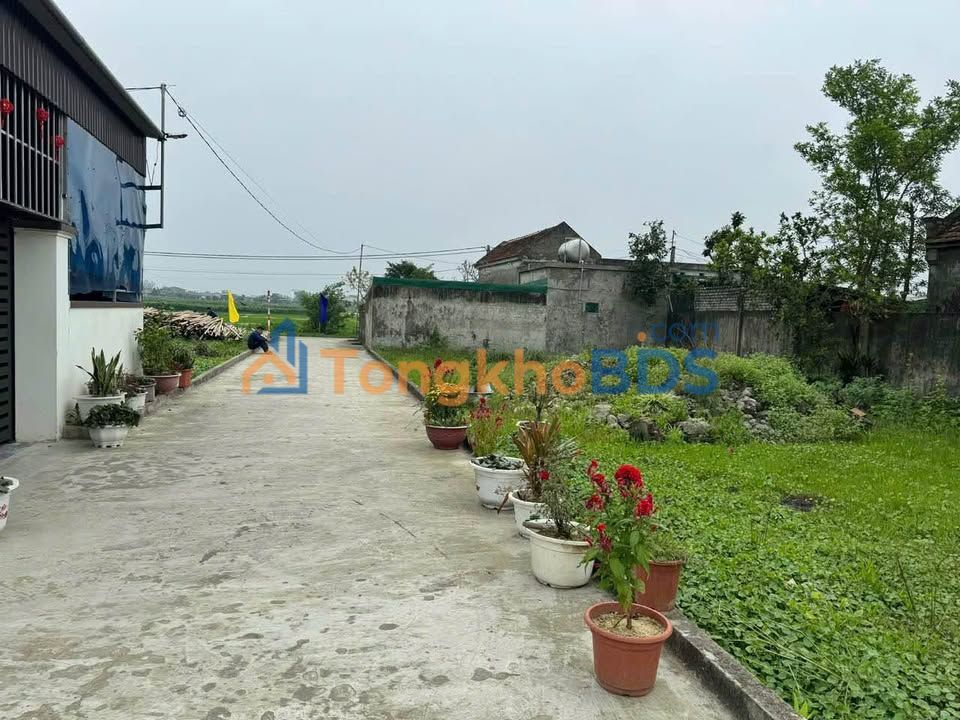 Bán Đất Nền Xóm 9 Nghi Kim - 50m² - Sổ Đỏ Chính Chủ - 1.3 Tỷ