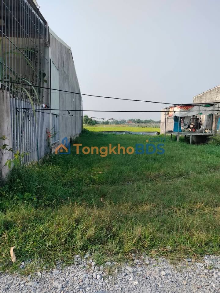 Bán Gấp Đất Nền 125m² Ấp Rừng Sến, Đức Hòa - Sổ Hồng Sẵn Sàng, Giá 1.1 Tỷ