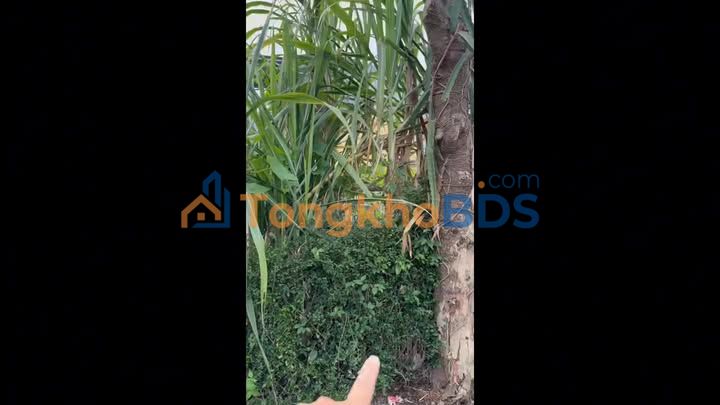 Đất nền Hòa Phước 168m² gần QL1A giá 2.35 tỷ - Sổ đỏ chính chủ