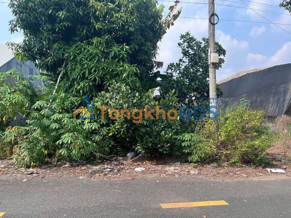 Đất nền Lấp Vò 90m² 790 triệu - Sổ đỏ chính chủ