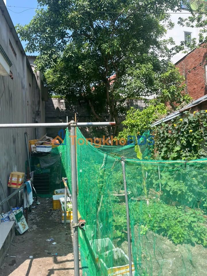 Bán Đất Hóc Môn 74m² Sổ Riêng Gần BigC - Giá 3.25 Tỷ