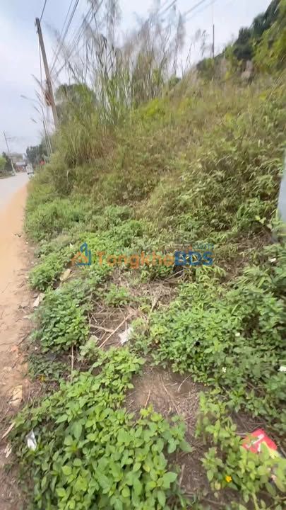 Đất nền xã Tân Sơn 253m² 2.2 tỷ - Sổ đỏ chính chủ