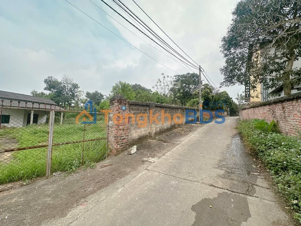 Đất nền Phong Châu Phù Ninh 1239m2 2 tỷ - Tiềm năng tăng giá