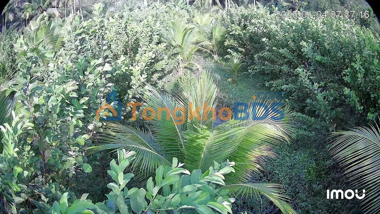 Đất vườn Sơn Phú 5.600m² 4.48 tỷ - Nghỉ dưỡng lý tưởng