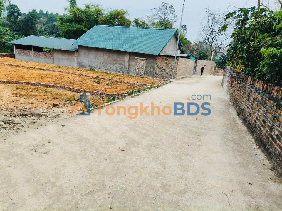 Đất nền Tam Quan Tam Đảo 104m² 4xx - Tiềm năng tăng giá