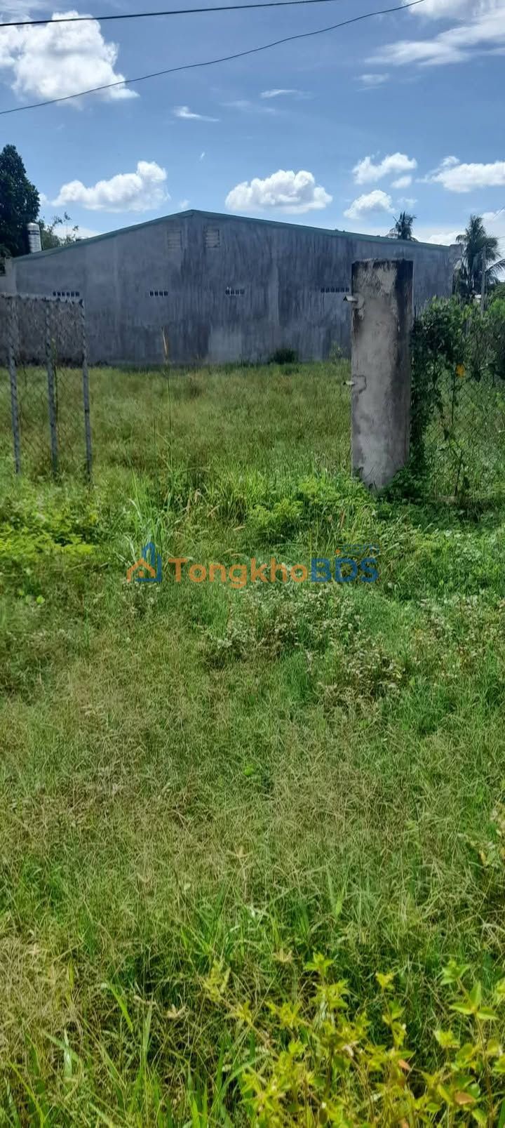 Đất nền Trường Đông Long Hoa 150m2 24 tỷ - Đường to ô tô