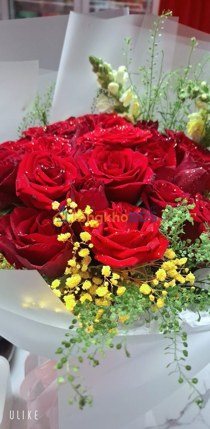 Nhà riêng Long Đất 125m² 1.8 tỷ - Chính chủ bán gấp