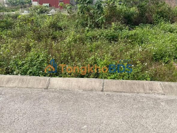 Đất nền Tân Minh Sóc Sơn 86m² thỏa thuận - Đường ô tô