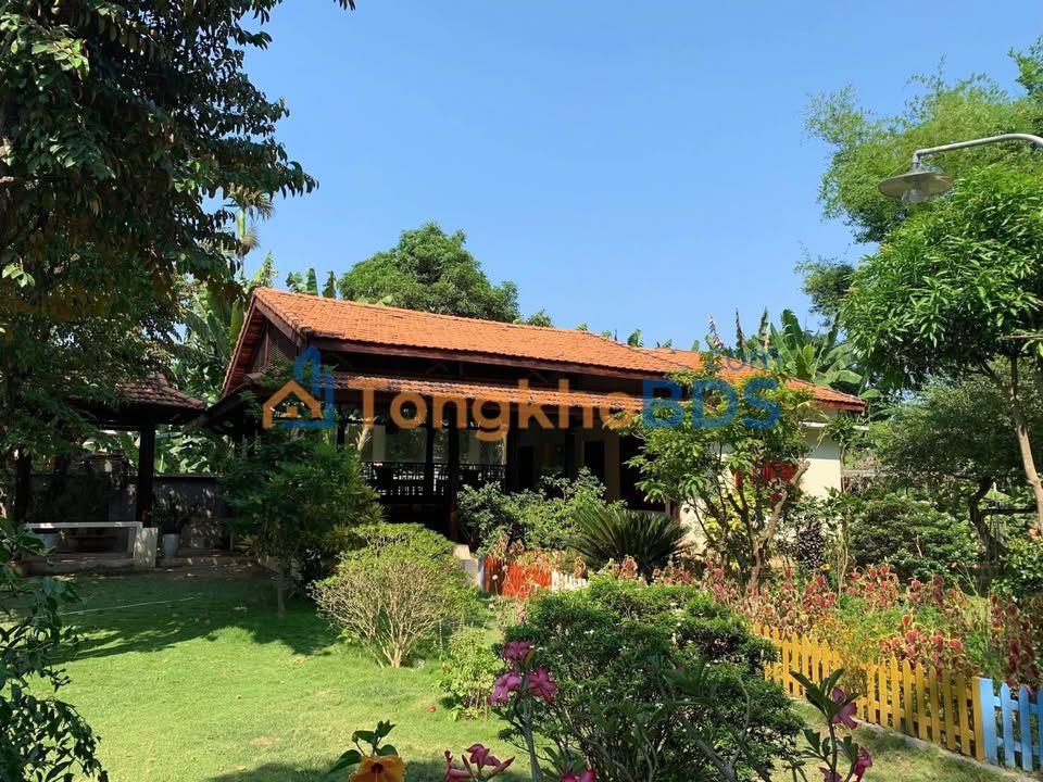 Đất nền Diên An Khánh Hòa 1318m² 15.816 tỷ - Tiềm năng tăng giá