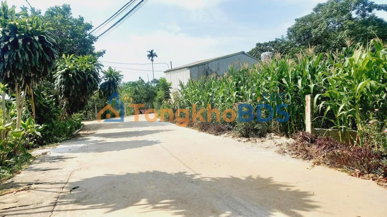 Đất nền Ba Vì 170m² 100 triệu - Sổ đỏ chính chủ