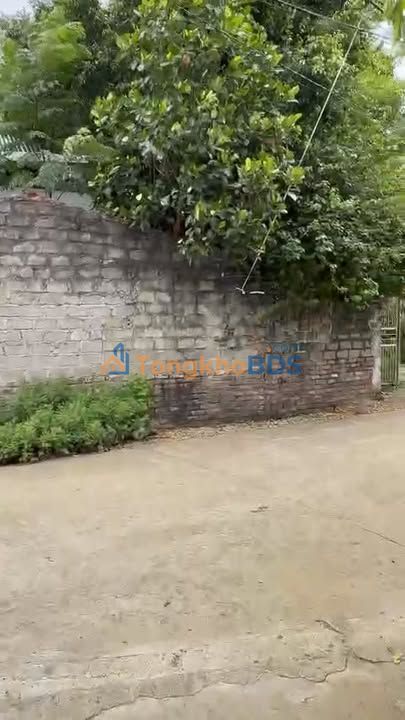 Đất Tản Lĩnh Ba Vì 400m² 3 tỷ - Sổ đỏ sẵn