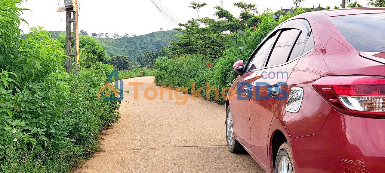 Bán Đất Ba Vì 1000m² Sổ Hồng Sẵn Sàng - Giá Hơn 2 Tỷ