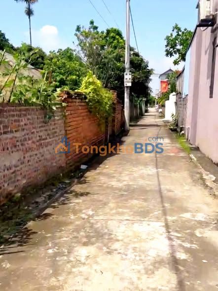 Đất nền Tảo Dương Văn 100m² 2 tỷ - Giá tốt hiếm có