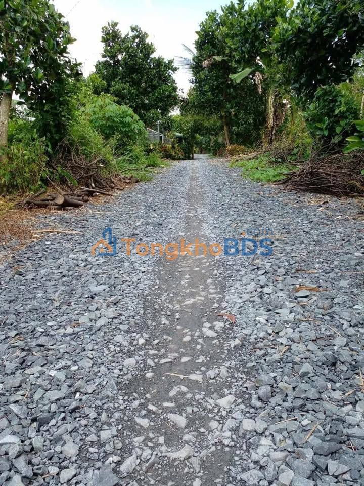 Bán đất Vĩnh Thới Đồng Tháp 704m² giá 420 triệu - Đường ô tô tới đất