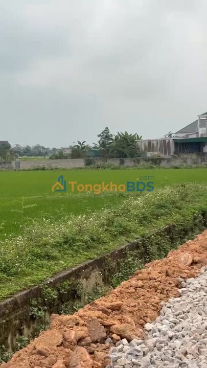 Đất nền Văn Thành Yên Thành 298m² 1 tỷ - Đường to ô tô