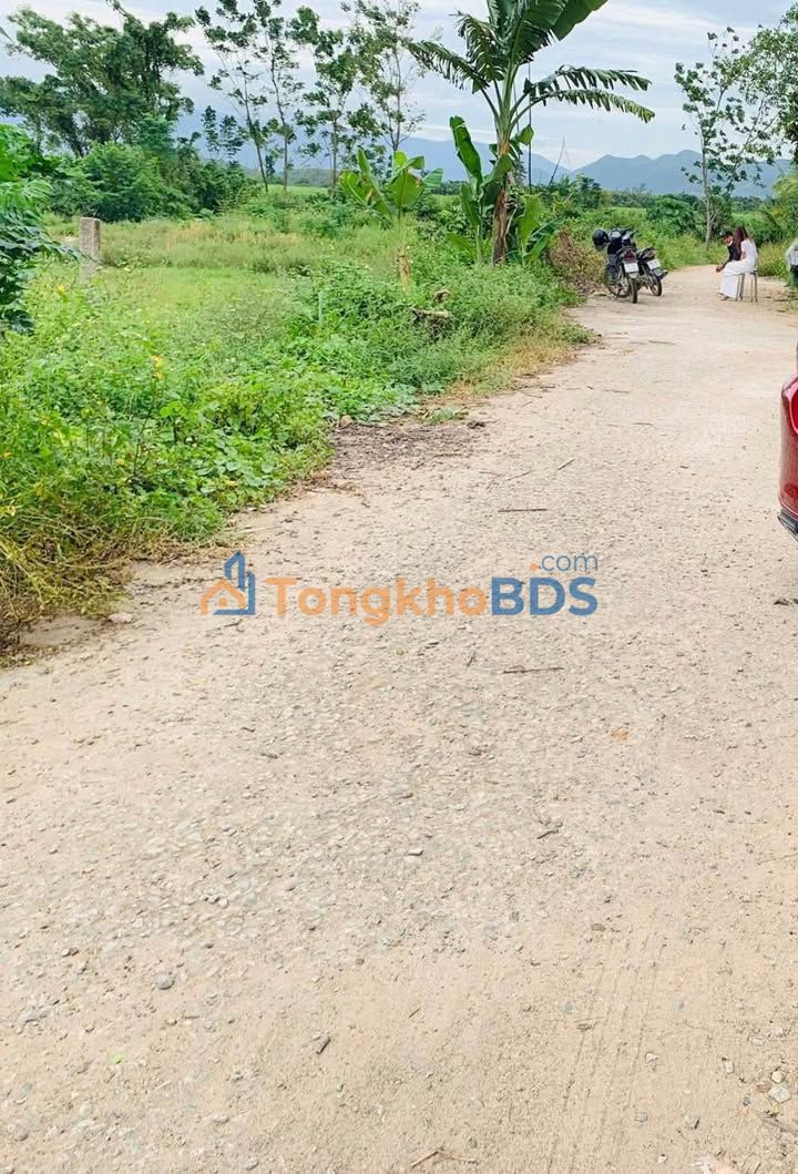 Đất Thổ Cư Lương Sơn, Bắc Bình - 132m² Sổ Đỏ Sẵn Giá 250 Triệu