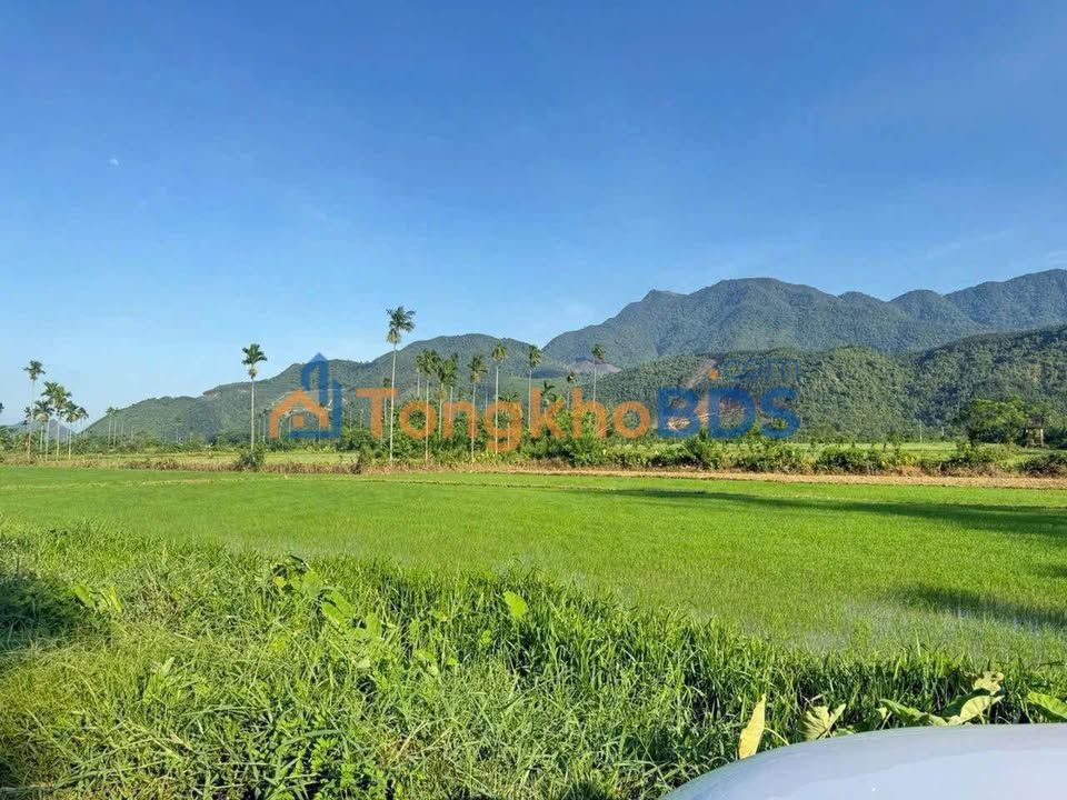 Đất Vườn 460m² Đà Nẵng - Sổ Đỏ Sẵn Sàng - Giá 2.3 Tỷ Bớt Lộc