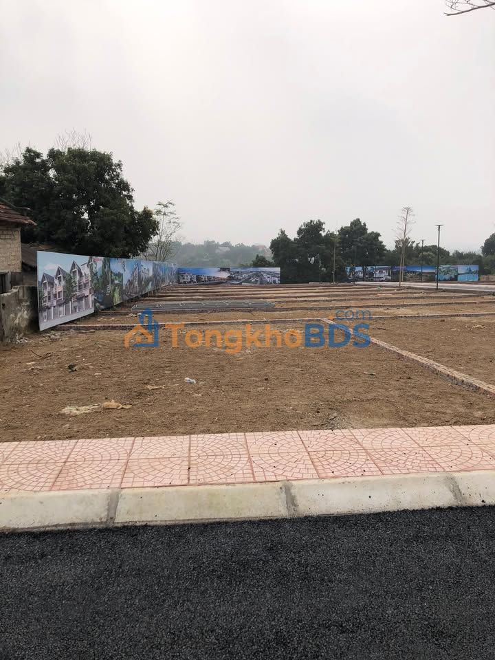 Đất nền Đông Anh 100m² Full Thổ Cư - Đầu tư sinh lời 2026