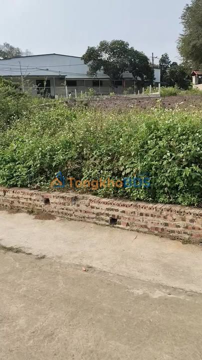 Đất Nền Ba Vì 154m² Sổ Đỏ Riêng - Giá 1.1 Tỷ, View Núi Đồng