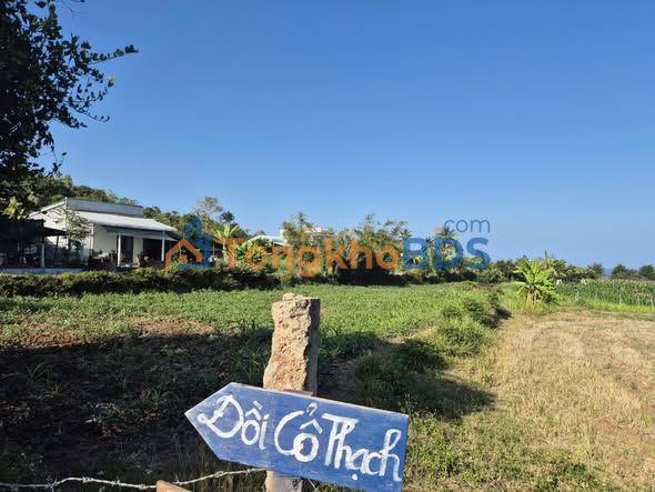 Đất Nền 1100m² Tuy An, Phú Yên - View Biển Đồi Cổ Thạch