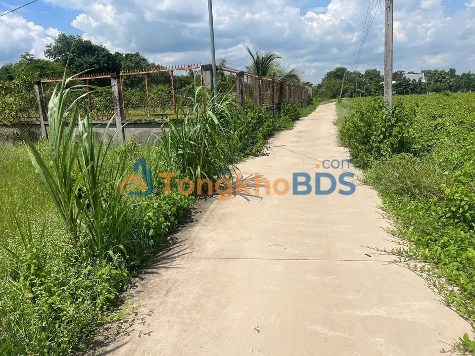 Đất nền Lộc Giang Đức Hòa 1.260m² giá 94,5 tỷ - Sổ đỏ chính chủ