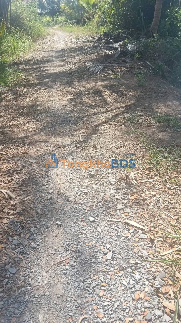 Đất vườn An Ngãi Trung Ba Tri 1.000m² 230 triệu - Nghỉ dưỡng lý tưởng