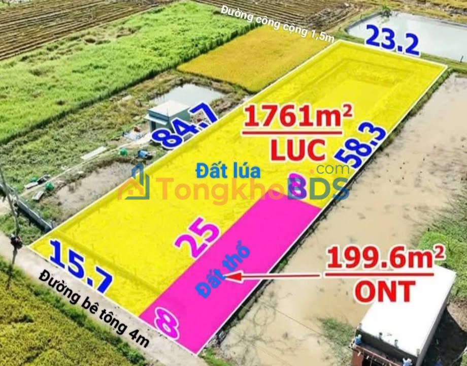 Đất nền Lạc Tấn 1.961m² giá 2.1 tỷ - Sổ đỏ chính chủ