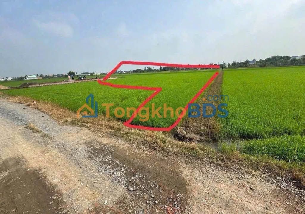 Đất nền Đức Hòa Long An 1500m² 1.5 tỷ - Sổ đỏ chính chủ