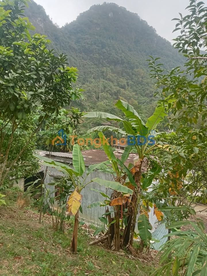 Đất nền Tú Sơn Kim Bôi 1000m² giá đầu tư - Sổ đỏ chính chủ