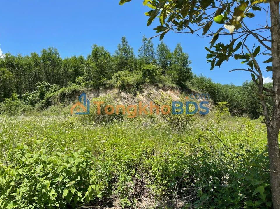 Đất Sông Cầu Khánh Vĩnh 1000m² - Sổ hồng chính chủ