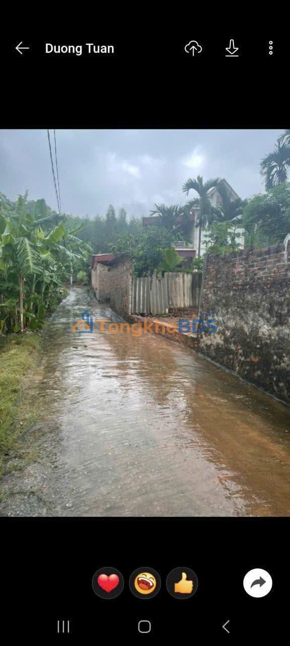 Đất nền Tân An 120m² 600 triệu - Hạ tầng hoàn thiện