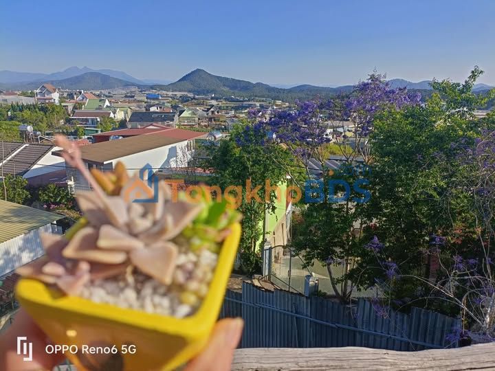 Đất trại Xuân Trường Đà Lạt 100m² 1.25 tỷ - Sổ đỏ chính chủ