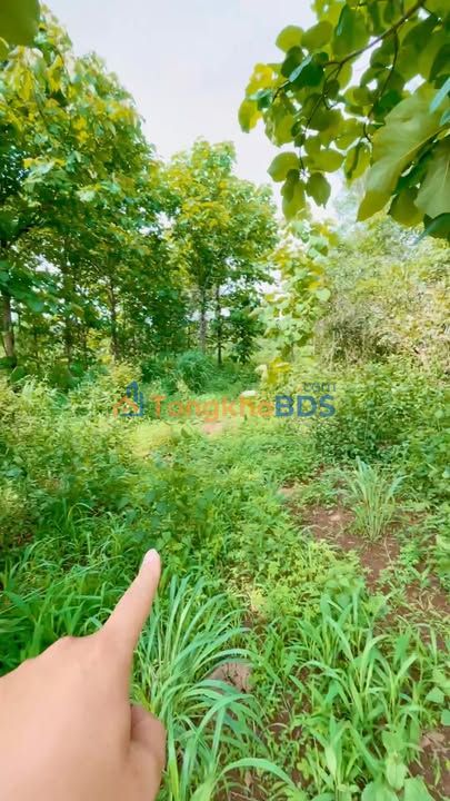 Đất Phú Tân Đồng Nai 432m² 549tr - Pháp lý rõ ràng