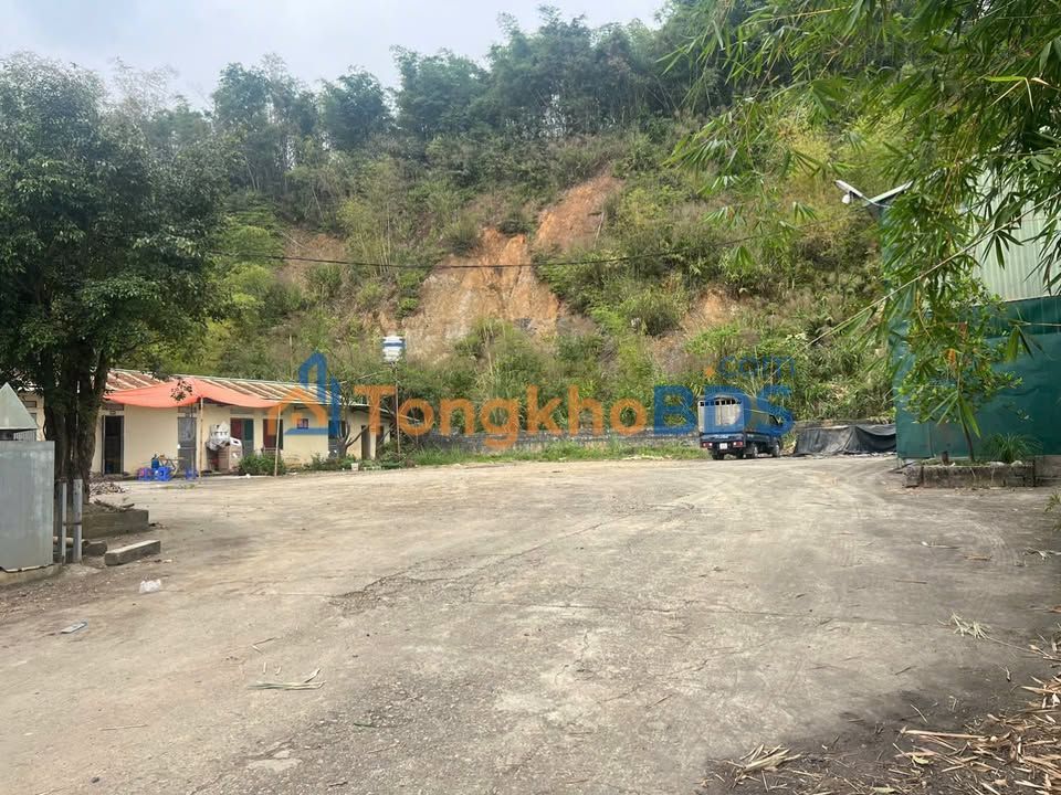 Kho xưởng Tân Hòa 1.001m² giá 3 tỷ - Hoạt động ngay