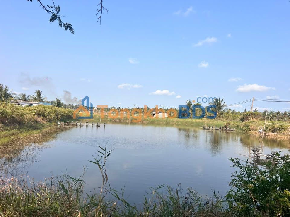 Đất vườn Bình Thắng Bình Đại 3.554m² 170 triệu - Đầu tư dài hạn