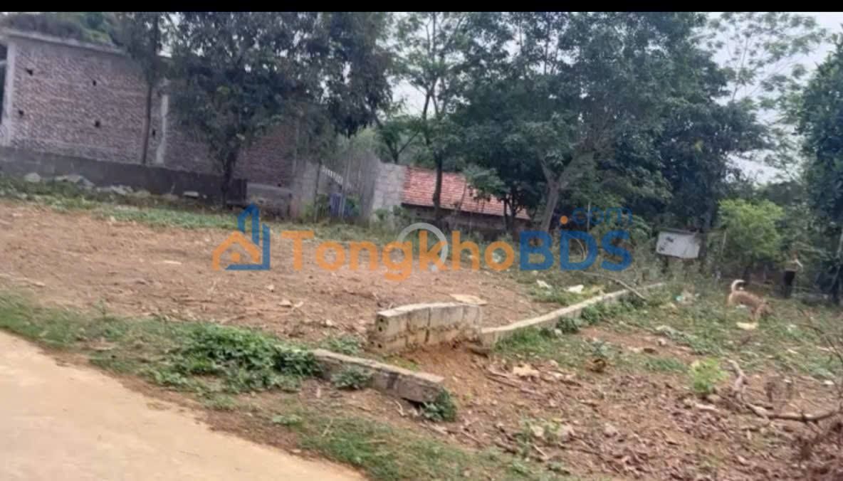 Đất Nền An Đạo, Phù Ninh 102m² Giá Tốt - Sổ Đỏ Sẵn Sàng